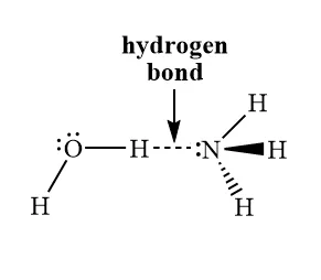 Hydrogen Bonding between Ammonia and Water Molecules